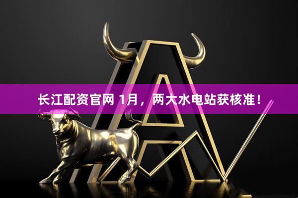 长江配资官网 1月，两大水电站获核准！